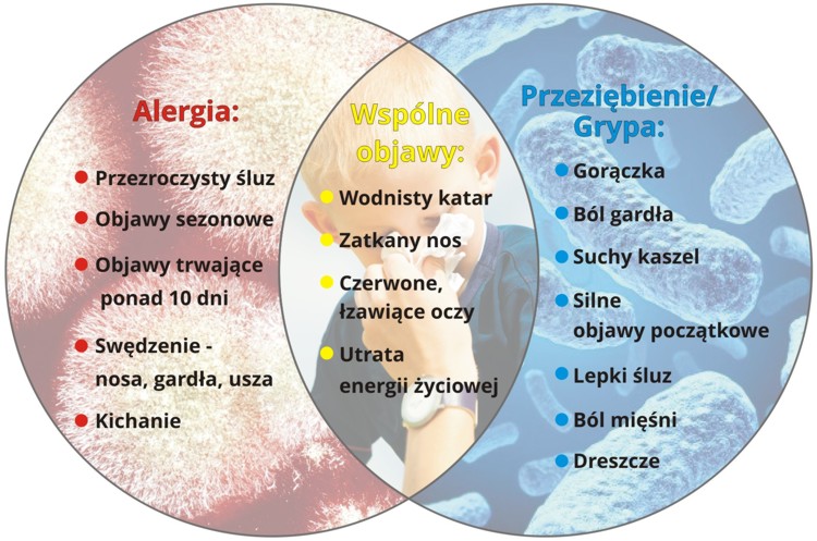 jak rozpoznać alergię - odróżnij alergię od przeziębienia